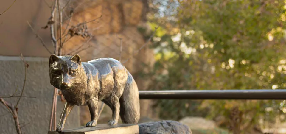 A small bronze statue of an Arctic Fox standing with its signature bushy tail on a rectangular pedestal that has been affixed to the top of a large boulder with trees and a metal handrail behind it.