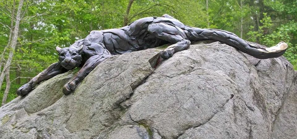A large bronze statue of a Cougar, a big tan cat with round ears, lying with its body flat and ears back on the top of a giant boulder in a forest.