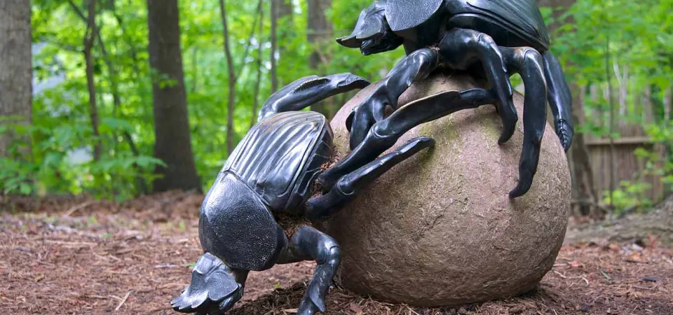 An art installation in a wooded area, of two larger than life Dung Beetles crawling along the mulch covered ground, making a large clay looking ball.