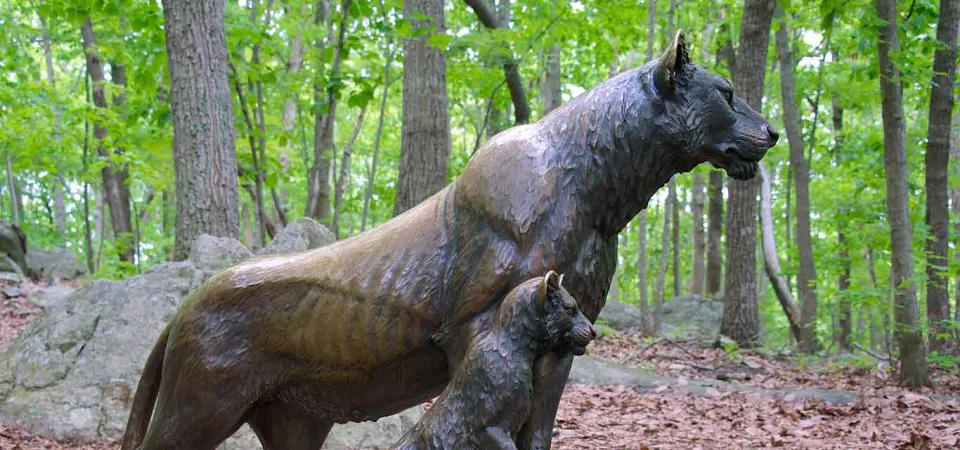 A life-sized bronze statue of a majestic Lioness poised on a rock while her Lion cub stands bravely next to her in the middle of a clearing in the woods.