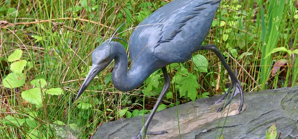 A bronze statue of a stalking little Blue Heron that is situated on a rock, surrounded by tall grass in the middle of a swampy environment.