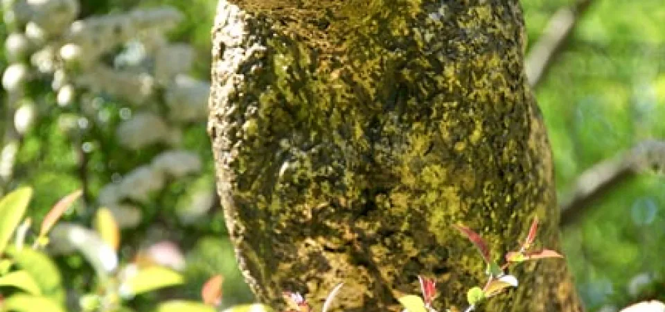 A bronze rendering of a large cat, possibly a Leopard as it sits, poised to strike on a rock surrounded by tall grasses under a clear blue sky.