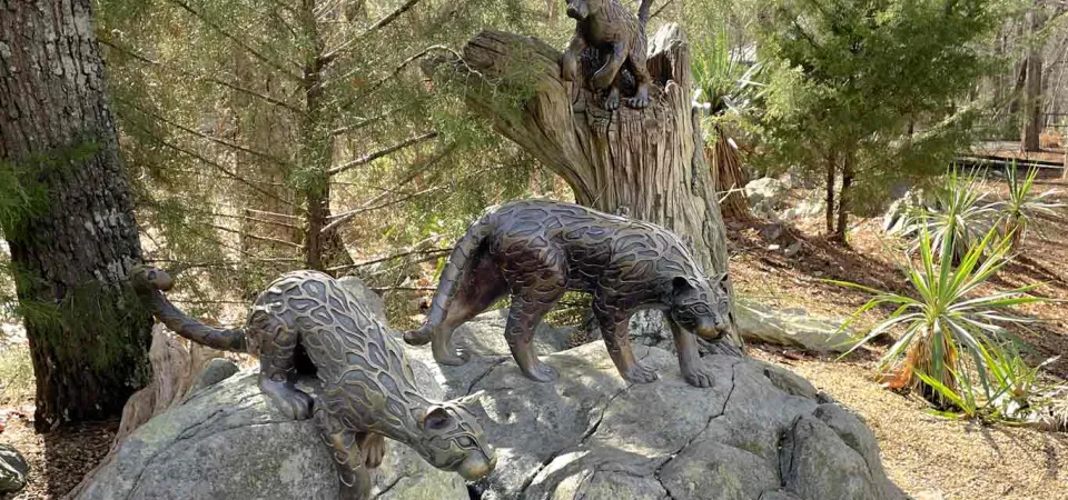 A large boulder in a wooded area that is full of trees and plants. Two bronze Ocelot statues appear to be slinking down the rock, hunting something. Just behind them is another bronze statue of an Ocelot kitten perched on top of a broken off tree .