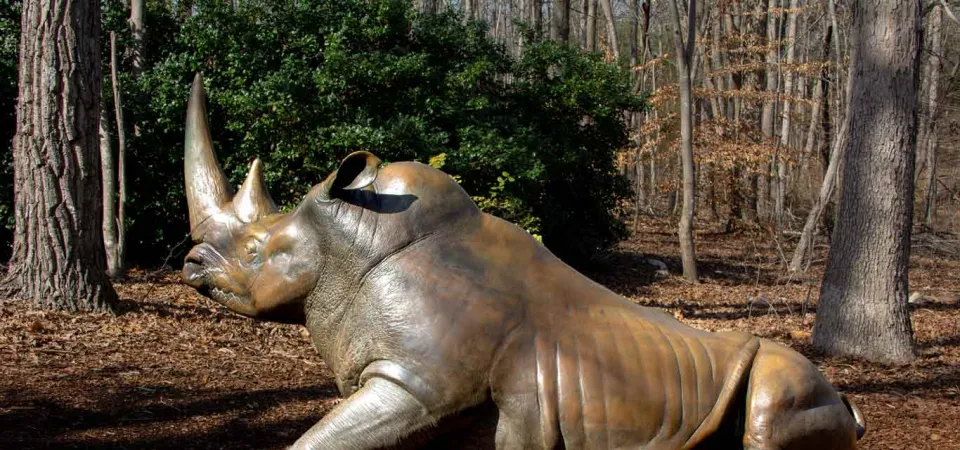 A life-sized bronze statue of a White Rhinoceros that looks like it is trying to stand up from a laying position on the mulch covered ground. There is a large dark green bush and lots of trees in the background.
