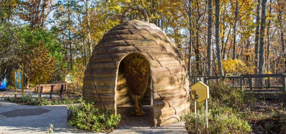 A large, dome-shaped walk-through exhibit designed to look like a natural beehive. The exterior is textured brown, and the interior, visible through a large archway, is covered with a pattern resembling honeycomb cells. The exhibit is outdoors on a paved pathway, surrounded by trees with late-autumn foliage. A hexagonal informational sign is visible to the right.