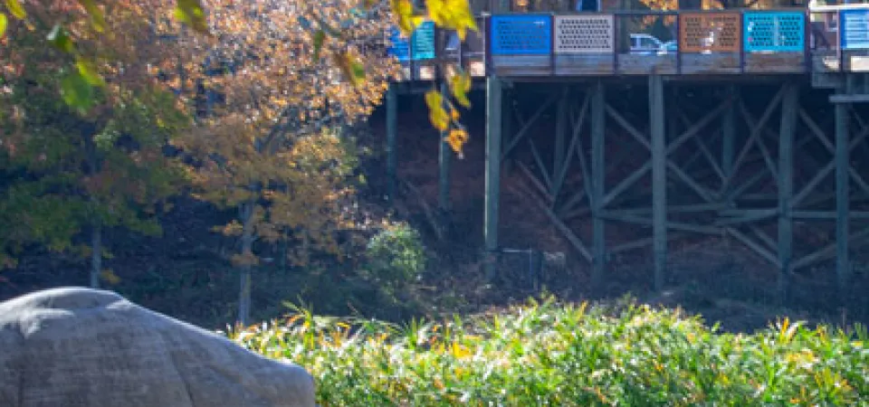 A lifesized statue of a Hippopotamus mom and calf standing on a mulch covered shore of a lake, tall reeds visible in the background. In the distance, a wooden pier with colorful handrails and a round rotunda spans the water.