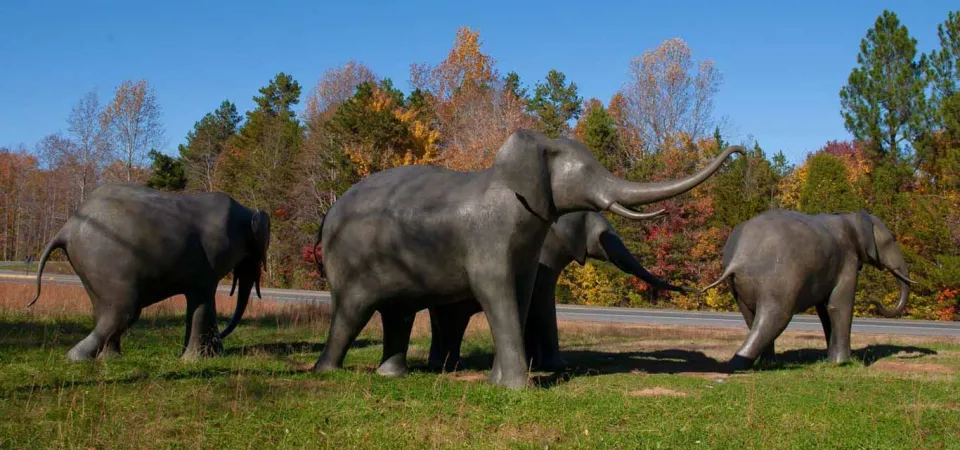 The Zoo's iconic elephant group sculpture in early fall, surrounded by vibrant green grass with autumn colors decorating the distant trees behind them.