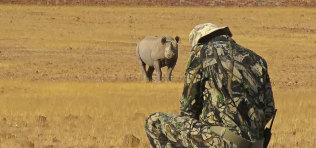 A person wearing camouflaged colored clothes crouched down conducting a rhino monitoring with Save the Rhino Trust. There is a rhinoceros in the background facing the person in a savanna environment.