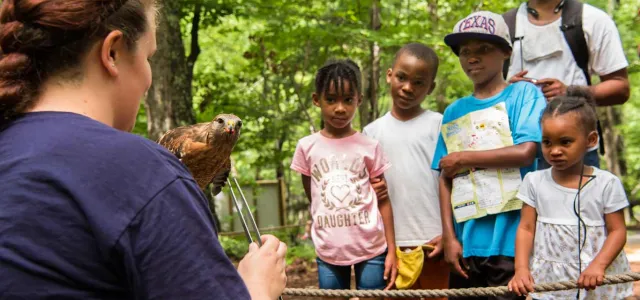 A woman with red hair, wearing a navy blue shirt, is holding a small, brown hawk on her gloved hand and talking to a group of four children and a man. The group is standing behind a rope barrier in a wooded area, all looking at the hawk.