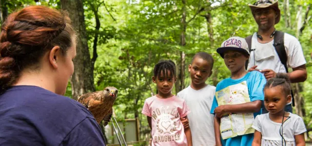 A woman with red hair, wearing a navy blue shirt, is holding a small, brown hawk on her gloved hand and talking to a group of four children and a man. The group is standing behind a rope barrier in a wooded area, all looking at the hawk.