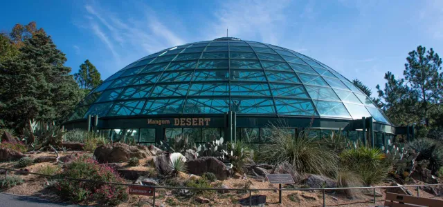 A wide exterior shot showcases the large, glass-domed Desert exhibit building under a bright blue sky with wispy clouds. In front of the building, a landscaped area features various desert plants like cacti and succulents, along with rocks. A paved pathway curves in the foreground, and a wooden bench is visible on the right. 
