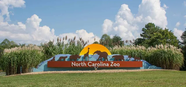 The entrance sign for the North Carolina Zoo is visible, featuring a large, curved sign with "North Carolina Zoo" written across it. Above the text, silhouettes of various animals (including an elephant, giraffe, and bears) are depicted against a yellow sunrise. The sign is set into a grassy mound surrounded by tall reeds and trees under a partly cloudy blue sky.