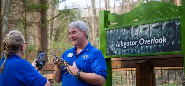 A woman with a blonde braid and blue shirt stands holding and a cellphone facing and seemingly recording an older man in a blue shirt that is holding a small, brown and tan baby Alligator. They are on a wooden deck in front of a green sign with an image of an Alligator and text that reads "Alligator Overlook".