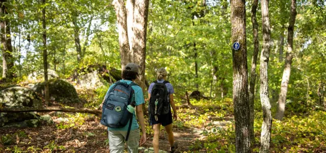 Two hikers on trail in the Uwharrie Mountains showing deep woods and shade.