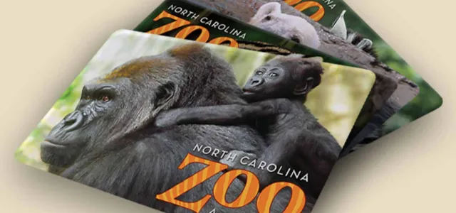 North Carolina Zoo gift cards make great gifts. Support conservation and give a thoughtful and unique gift!