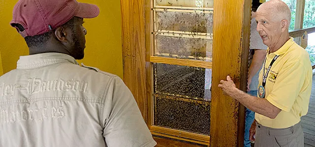 A volunteer is sharing information about honey bees in front of a live bee hive.