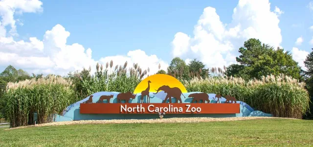 The entrance sign for the North Carolina Zoo is visible, featuring a large, curved sign with "North Carolina Zoo" written across it. Above the text, silhouettes of various animals (including an elephant, giraffe, and bears) are depicted against a yellow sunrise. The sign is set into a grassy mound surrounded by tall reeds and trees under a partly cloudy blue sky.