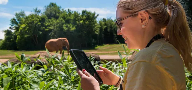 A woman with a blonde ponytail and wearing glasses and a yellow shirt stands holding a tablet in front of a handrail on a sunny day. In front of her is a barrier of bushy green plants. An Elephant stands proudly in a field in the background.