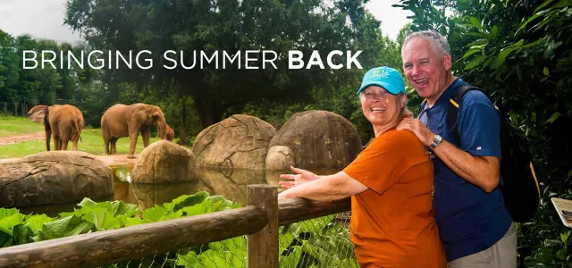 A older man and woman stand posing together leaning on a wooden handrail and looking back at the viewer. Behind them is a large savanna habitat with two African Elephants standing next to a small pond and several large boulders. White text in the top left corner reads "Bringing Summer Back."