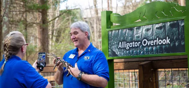 A woman with a blonde braid and blue shirt stands holding and a cellphone facing and seemingly recording an older man in a blue shirt that is holding a small, brown and tan baby Alligator. They are on a wooden deck in front of a green sign with an image of an Alligator and text that reads "Alligator Overlook".