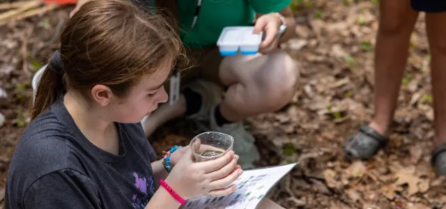Camper holding a cup with an animal inside, while identifying the animal using a paper chart. 