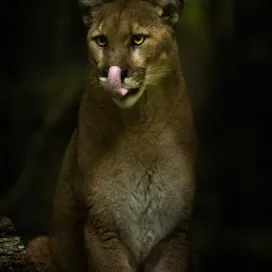 Give thanks for the wonderful people and animals in your life! ❣️ Don’t forget…the Zoo is closed tomorrow, Thanksgiving Day and will reopen Friday the 29th 9 am to 4 pm with the last entry at 3 pm. 🤗