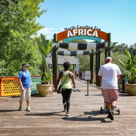 The Africa Plaza & Parking is now open for the season! Don’t forget, parking is free and guests can visit the entire zoo from either entrance!
For additional parking information please see our website: https://www.nczoo.org/visit/directions-parking
🦁 We hope to see YOU at the North Carolina Zoo soon! 🐘