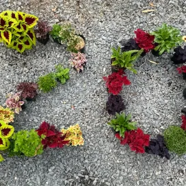 We are only 20 days away from our Annual Plant Sale!! 🌱 🎉
The Zoo’s Horticulture section will hold its annual plant sale Mother’s Day Weekend on Saturday, May 10, from 8 a.m. to 3 p.m. at the Solar Pointe picnic area at the south end of the North America Parking lot near the North America entrance. 🌼
Cash or checks preferred, but card will be accepted this year! And don’t forget, ALL proceeds from the plant sale go directly back to the Horticulture Department! 💚 See ya there! 🌸