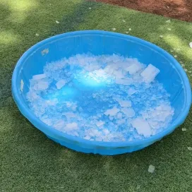 What do our Canine for Conservation friends love more than frisbees?! 🐶 A pool full of ice!!🧊 Every day, the dogs receive a delivery of ice from the Zoo’s food service provider, the SSA Group! Not only does it help keep them cool as the weather warms up, but they love to play in it! + it’s fun ASMR 👂🔊