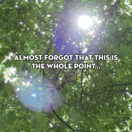 Almost forgot that this is the whole point…✨🫶🌞
#GetOutside #SupportWildlife #Conservation