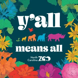 Y'all means all.