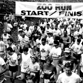 The Run Wild 5k at the North Carolina Zoo is fast approaching! 💨
Although this exciting event is SOLD OUT, we still want YOU to know what's going on and how the Run Wild 5K supports our mission of saving wildlife & wild places. 🐾
Registration fees directly support the Zoo's efforts to protect and preserve the American Red Wolf, the world's most endangered canid, with fewer than 20 individuals remaining in the wild. Together, we are making strides…literally and figuratively…for the American Red Wolf! 🏃‍♂️
The Run Wild 5K was made possible through donations from Fahlo, The Table, EmergeOrtho, FleetFeet, Hampton Inn of Asheboro, NC, and Pepsi to the NC Zoo Society. Thank you! 🙏 Your support helps us create unforgettable experiences and promotes a healthy, active community. We couldn't have done it without you! 🌟
Swipe for sponsors 🫶 ➡️
https://www.nczoo.org/events/run-wild-5k