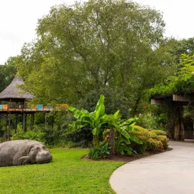 Hey there! 🖐️ All Africa Picnic areas as well as the Africa amphitheater will not be accessible to the public on Saturday 9/13, and Saturday 9/20. However, picnic spots outside of the North America Entrance, Solar Point and Dragonfly remain open for public enjoyment. Thank you for your understanding! Happy Picnicking!