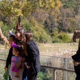Missed the first chance to attend Boo at the Zoo last weekend? 🎃 Don’t worry! Join us for Boo at the Zoo this weekend, Saturday 10/25 and Sunday 10/26 from 9am - 3pm. Get those costumes ready for our daily costume contests at 12pm and 3pm! You’ll enjoy games and crafts 🫧, face painting 🎨, and trick-or-treating 🍭 all while seeing your favorite Zoo animals! 🐘 👻
Boo at the Zoo is an additional cost and wristbands can be purchased at both the North America and Africa entrances. Boo wristbands cannot be purchased ahead of time or online. All Boo activities will take place in Africa. 🎟️