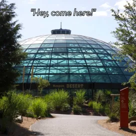 Heads up! 🐍 Our slithering friend is here to let you know that the Zoo's Desert Dome will be closed for maintenance from November 3rd to November 7th. Please plan your visit accordingly, we look forward to welcoming you back into the dome once maintenance is complete. In the meantime, visit our socials for all the desert content! 📱🌵
#SnakeSunday
