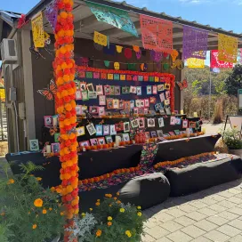 The Beloved Pet Ofrenda is underway here at the Zoo and you still have time to participate in this free event! The Ofrenda is open daily in the North America Plaza, 9 am - 3 pm through Saturday, November 8. We invite you to bring a 4”x 6” photo of your pet that has passed to place on the altar. We provide frames and markers for decorating! 🎨 🖼️
There are also native wildflower packets available to take home and plant to encourage native pollinators to stop by, like the Monarch Butterfly!
The Beloved Pet Ofrenda reminds us that by keeping their memory alive, the ones who love us never really leave us. 🐾 🤍
Thank you to everyone that has participated so far this year! 🧡