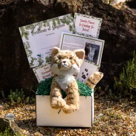 Looking for a truly unique gift this year? 🎁 👀🐾
Our Gift Guide is packed with one-of-a-kind experiences from animal adoptions, behind-the-scenes tours, to memberships, and more. There’s something puuurrrfect for every animal lover on your list. 😻
Give a gift as unique as they are: memories included. Check it out on our website or at the link in bio! 💝