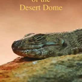 It’s #WorldDesertDay so let’s chat about deserts!
🌵Deserts make up 1/3 of Earth’s land mass.
☀️Not all deserts are hot, but, they are all dry.
🏜️Deserts aren’t deserted! They are home to a wide variety of plant and animal life, often found nowhere else on Earth!