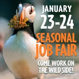 Being ranked the #1 Zoo in the nation is no small feat! We welcome more than a million guests each year and we are looking for seasonal employees to help ensure our guests have a positive and memorable Zoo experience! 🤩
Our peak operating season is March – October. 🗓️ We offer an array of job opportunities throughout different departments at the Zoo. If you love people and are interested in saving wildlife and wild places for the future, this is the place for you!
The North Carolina Zoo offers seasonal opportunities in Admissions, Transportation, Attractions, Environmental Services, Education, Food Services, Gift, and EMT/Security.
Candidates must be able to work a flexible schedule, including weekends, evenings, and holidays. Come to the job fair to meet Zoo Employees already working in these areas, then apply for what works best for YOU!
Join our wild crew for a fun summer working at the Zoo! 🌞
Dates: Friday, January 23 & Saturday, January 24 🔜
Time: 10 a.m. to 2 p.m. ⏰
Location: Multipurpose Room, Stedman Education Building, North America Parking Lot 📍
Bring yourself and your curiosity! This is a recruitment event, so the Zoo will not hire people on the spot, but rather provide information about the Zoo areas in need of help.