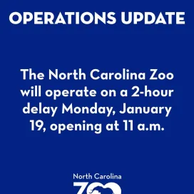 Operations Update! 🚨
We will be operating on a 2-hour delay, Monday, January 19, opening at 11 a.m. We appreciate your understanding!
Stay warm, everyone! ❄️