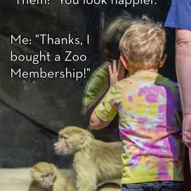 You call it buying a Zoo membership, we call it self-care! Learn more at our website: nczoo.org/become-zoo-member