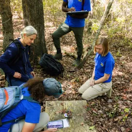 We are kickstarting a new series called Salamander Saturdays! 🦎 So, every Saturday, YOU can look forward to all things SALAMANDERS! 🎉
We’ll explore the Zoo’s conservation efforts focused on native salamanders, starting with onsite salamander surveys! These surveys are essential for gaining insights our native salamander population and identifying trends among them.
Step 1: Look under the coverboard for salamanders, or other scurrying friends! 🐍 🦎
Step 2: Photograph the salamander on grid paper. 📸 Input the photo of the salamander into a pattern recognition software. This step is crucial for studying the recapture rate of salamanders, which provides insights into their health and population dynamics.
Step 3: Carefully weigh the salamanders. This data is important for tracking their growth and overall health. Monitoring weight can help identify any changes that may indicate environmental stressors or health issues. ⚖️
Step 4: Determine the sex of the salamander by examining its physical characteristics. Identifying whether a salamander is male or female is essential for understanding breeding patterns and population structure.
Step 5: Record the collected information and gently return the salamander back under the coverboard!
#nczoo #salamandersaturday #salamanders