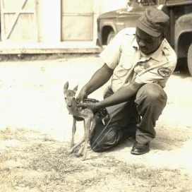 The second state park highlight for Black History month is Reedy Creek State Park, a place with a deep and complex history tied to both the Great Depression and the Civil Rights movement.
In the 1930s, during the era of segregation, Reedy Creek was developed as a federal project to provide jobs and restore farmland. The Civilian Conservation Corps worked to build the park’s roads, trails, and cabins, paying workers just $1 a day.
In 1949, the southern side of Reedy Creek in Raleigh was designated as a park for Black visitors, while the northern side was reserved for white visitors. The parks remained segregated until after the passage of the Civil Rights Act of 1964, when they were integrated. In 1966, the united park was renamed William B. Umstead State Park in honor of the state's 63rd governor.
Check out Reedy Creek on your next outdoor adventure! 🌲 @northcarolinaaahc @ncstateparks
Photos courtesy of the N.C. Division of Parks and Recreation
#BlackHistoryMonth #ReedyCreekStatePark #ExploreNC #NCParks #NCZoo #OutdoorHistory #NatureAndHeritage
