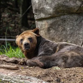 How your Monday morning email finds us….