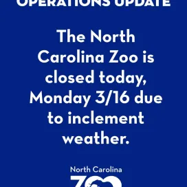 Due to the anticipated impact from the forecasted storm, the Zoo will be closed to the public today, Monday, March 16, 2026. All hiking trails and the Zoo's Wildlife Rehab Center are also closed. Stay safe everyone!