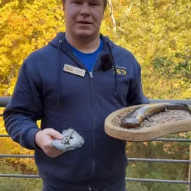 Tune in to see what Educator Breck has to say at about salamanders on this #SalamanderSaturday ☺️ #biofact