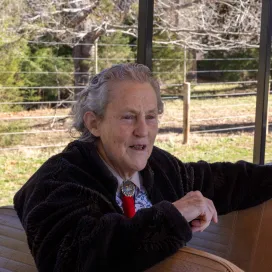Earlier this month, we were honored to welcome Dr. Temple Grandin to the North Carolina Zoo! In partnership with the Heart of North Carolina, Dr. Grandin was able to tour the Zoo and give a presentation to Zoo staff along with several other presentations in the Asheboro community.
Dr. Grandin is an internationally recognized animal scientist, professor, and autism advocate known for transforming both livestock welfare and public understanding of neurodiversity.
In the field of animal behavior, she pioneered humane livestock handling systems that reduce stress by working with animals’ natural instincts and sensory perceptions. Dr. Grandin is also widely known for her personal story as a person with autism, which she has openly shared through books, lectures and advocacy.
In celebration of Women’s History Month, Dr. Temple Grandin stands as a powerful example of how one woman’s perspective can transform entire fields from animal welfare to autism advocacy. Her legacy highlights the impact of women in science and innovation, inspiring future generations to think differently and lead with empathy. 🩵