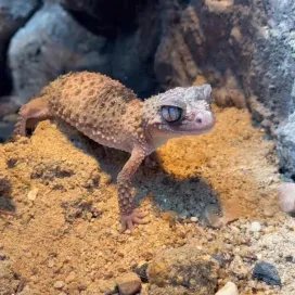 Hey, you! 🫵Yes, you! Pause! You’ve reached a scrolling checkpoint. This is your sign to take a break from your phone…you’re welcome. 😜