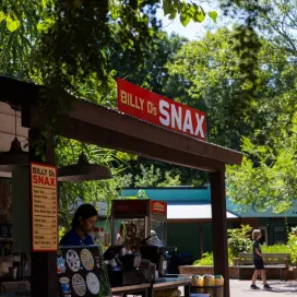 🔥 It is HOT out here this week! If you plan to come to the Zoo, make sure to stay hydrated and not overexert yourself. We encourage bringing a refillable water bottle and arriving early to beat the afternoon heat. ☀️💧 Stop by any food service location in the Zoo that offers fountain refills, to get your water bottle refilled for free with ice cold water! Snack carts located throughout the park will also provide free ice water cups.🧊
🚨 If you need help don’t hesitate to ask! Reach out to a Zoo Staff member or call ZOOCOM. If you require immediate assistance during your visit, please call ZOOCOM at (336)879-7540 for help.