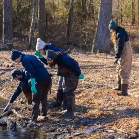 On this #SalamanderSaturday we’re resharing photos from last winter’s Tiger salamander adventure! We partnered with Three Rivers Land Trust to rescue Tiger salamander egg masses that faced the risk of drying out. We collected the at-risk masses and transported them back to our head-starting program at the Zoo. Once there, the Tiger salamanders were cared for until their release back into their natural habitat!
Check back next #SalamanderSaturday for part 2️⃣…the Tiger salamander release! 🌿